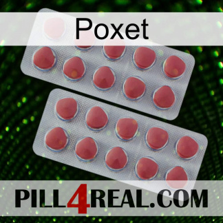 Poxet 19